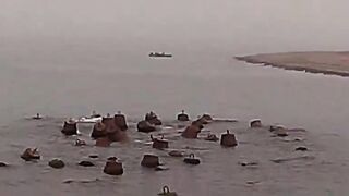 Нижняя Имеретинская бухта смариды и окунь у берега