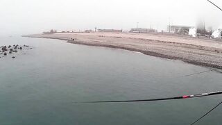 Нижняя Имеретинская бухта смариды и окунь у берега