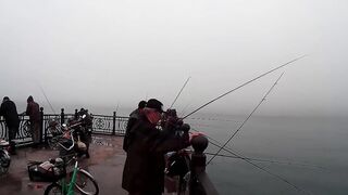 Нижняя Имеретинская бухта смариды и окунь у берега