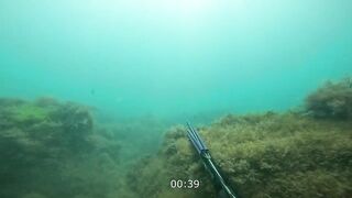 Нижняя Хобза - подводная охота и готовка улова