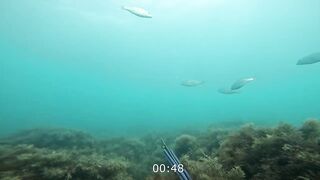 Нижняя Хобза - подводная охота и готовка улова