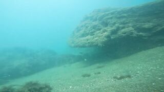 Нижняя Хобза - подводная охота и готовка улова