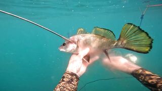 Нижняя Хобза - подводная охота и готовка улова