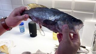 Нижняя Хобза - подводная охота и готовка улова