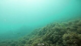 Нижняя Хобза - подводная охота и готовка улова