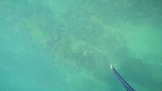 Нижняя Хобза - подводная охота и готовка улова