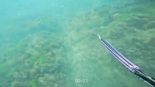 Нижняя Хобза - подводная охота и готовка улова