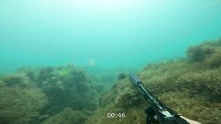 Нижняя Хобза - подводная охота и готовка улова