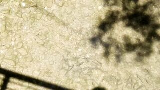 Нижняя Хобза частный сектор у моря без контактов