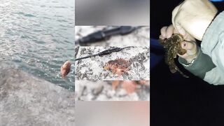 Рыбалка в Алуште - берег и мол