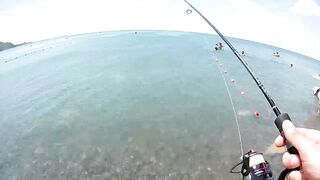 Анапа Сукко рыбалка у берега клюёт на каждом забросе