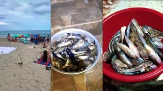 Ейск и район ловят бычка у берега