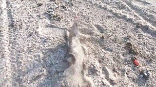 РЫБАЛКА ЕЙСК ПЕЛЕНГАС