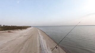 РЫБАЛКА ЕЙСК ПЕЛЕНГАС