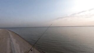 РЫБАЛКА ЕЙСК ПЕЛЕНГАС