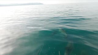Геленджик, море. Скаты здесь действительно ловятся