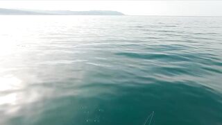 Геленджик, море. Скаты здесь действительно ловятся