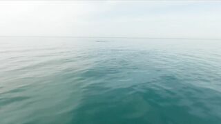 Геленджик, море. Скаты здесь действительно ловятся