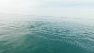 Геленджик, море. Скаты здесь действительно ловятся
