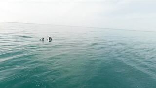 Геленджик, море. Скаты здесь действительно ловятся