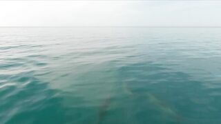 Геленджик, море. Скаты здесь действительно ловятся