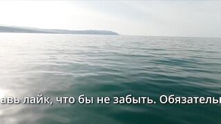 Геленджик, море. Скаты здесь действительно ловятся