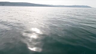 Геленджик, море. Скаты здесь действительно ловятся