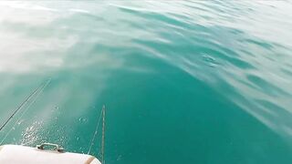 Геленджик, море. Скаты здесь действительно ловятся
