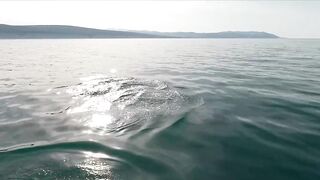 Геленджик, море. Скаты здесь действительно ловятся
