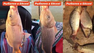 Ейск, что ловится в лимане у берега