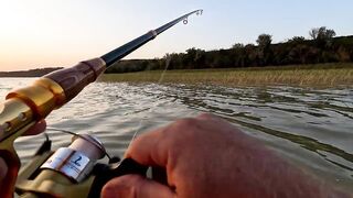 Ейск. Тарань у лимана.