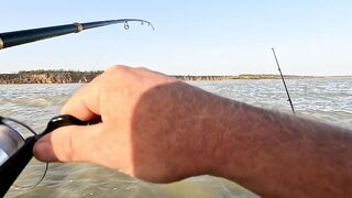 Ейск. Тарань у лимана.