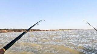 Ейск. Тарань у лимана.