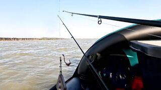 Ейск. Тарань у лимана.