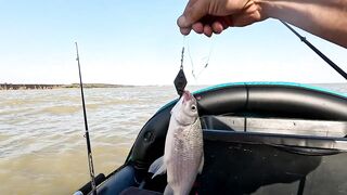 Ейск. Тарань у лимана.