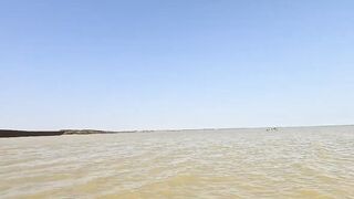 Ейск. Тарань у лимана.