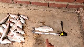 Ейск. Тарань у лимана.