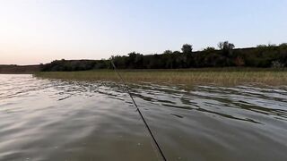 Ейск. Тарань у лимана.