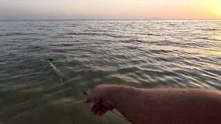 Ейск. Тарань у лимана.