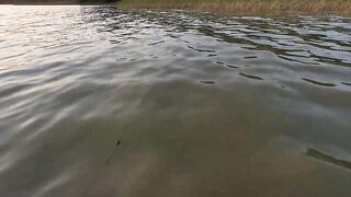 Ейск. Тарань у лимана.