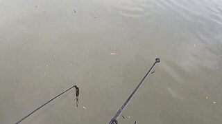 Темрюк основные моменты при рыбалке у берега