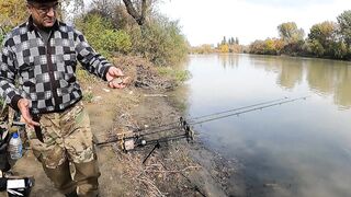 Темрюк основные моменты при рыбалке у берега