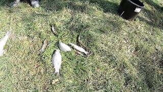 Темрюк основные моменты при рыбалке у берега