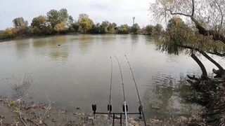 Темрюк основные моменты при рыбалке у берега