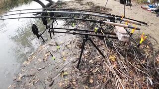 Темрюк основные моменты при рыбалке у берега