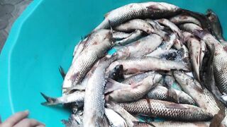 Темрюк 8.11.2023 пеленгас на морского червя это слабый клюв?