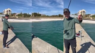 Феодосия онлайн 07.10.2023 сарган у берега