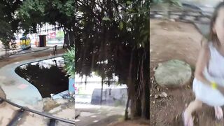 Пруд с рыбками и многокорневое дерево в парке