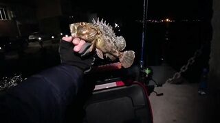 Феодосия ночная рыбалка на скорпену у берега