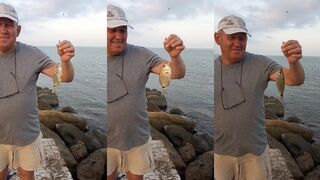 Чёрное море морской карась у берега